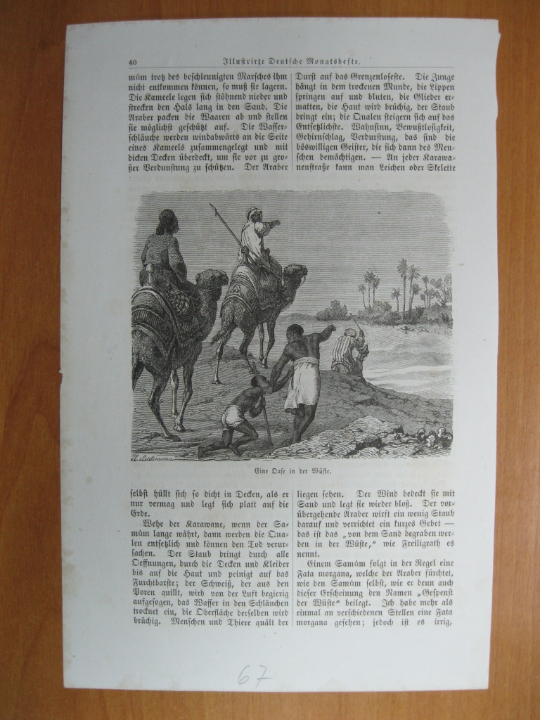 Expedición en el desierto africano, 1867